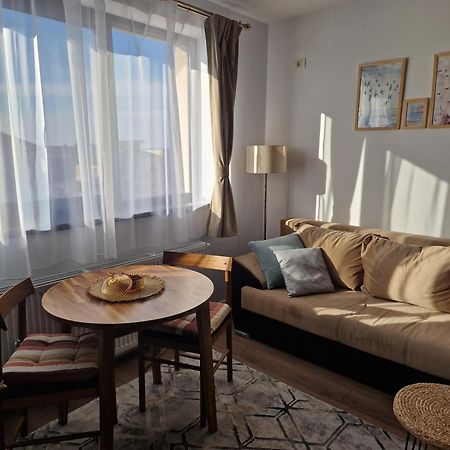 Craitelor Boutique Airport Apartment Otopeni Dış mekan fotoğraf